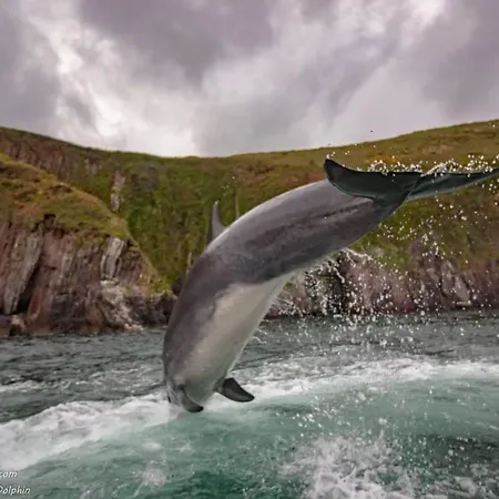Teach Eoin Ferienhaus Dingle