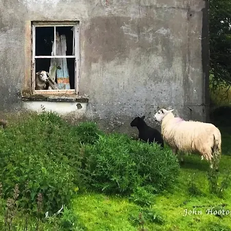 Teach Eoin * Ντίνγκλε