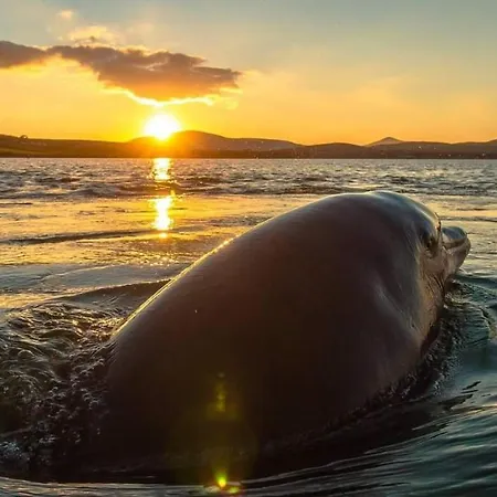 Teach Eoin دينغل