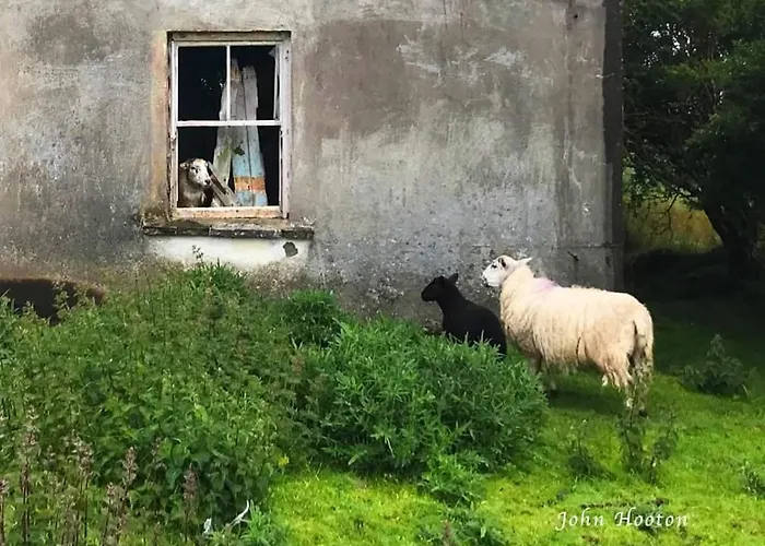 Teach Eoin * Ντίνγκλε