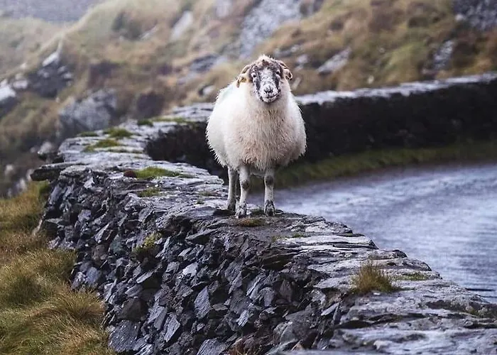 Teach Eoin Hébergement de vacances